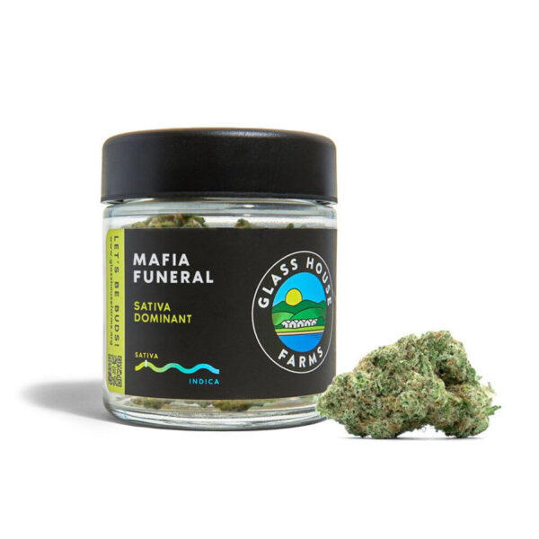 Glass House Flowers - Mafia Funeral (3.5g Sativa) *NEXT DAY DELIVERY ONLY*