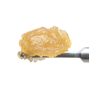 West Coast Cure Live Resin Conc - SFV OG Sugar (1g Indica) *NEXTDAY DELIVERY ONLY*