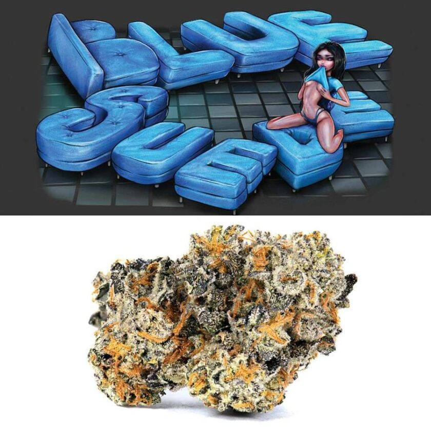 Cookies Indoor Flowers - Blue Suede (3.5g Hybrid)
