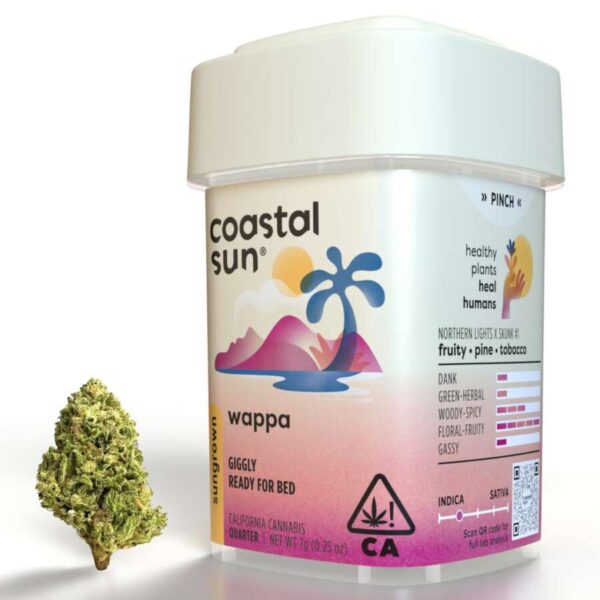 Coastal Sun Sungrown Flowers - Wappa (7g Indica)