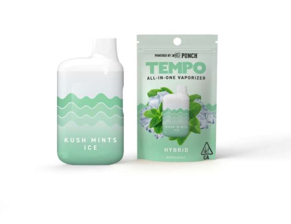 Tempo All In One Vape - Kush Mints Ice (1g Hybrid)