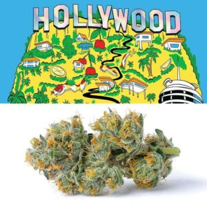 Cookies Indoor Flowers - Hollywood (7g Hybrid)