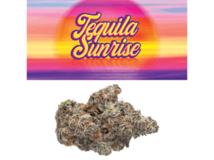 Cookies Indoor Flowers - Tequila Sunrise (7g Sativa/Hybrid)