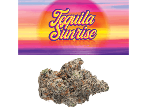 Cookies Indoor Flowers - Tequila Sunrise (7g Sativa/Hybrid)