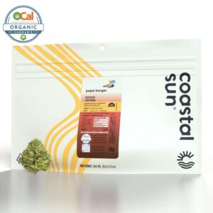 Coastal Sun Sungrown Flowers - Papa Burger (28g Hybrid) *NEXTDAY DELIVERY ONLY*