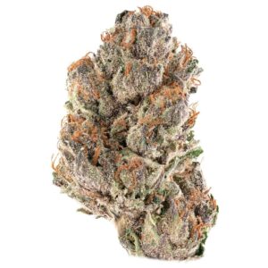 Hype Train Flowers - Bacio 41 (14g Hybrid)
