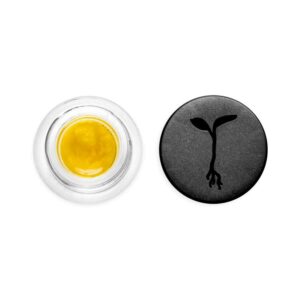 Raw Garden Live Sauce Conc - OG Squeeze (1g Indica)