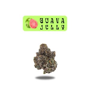 Oakfruitland Flowers - Guava Jelly (3.5g Hybrid) *NEXT DAY DELIVERY ONLY*
