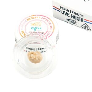 Punch Live Rosin Conc - Moroccan GMO Badder Tier 4 (1g) *NEXT DAY DELIVERY ONLY*