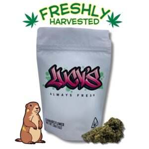 Lucy's Flowers - Gopher Glue (28g Hybrid) *NEXTDAY DELIVERY ONLY*