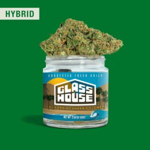 Glass House Flowers - Bolo R*ntz (3.5g Hybrid)