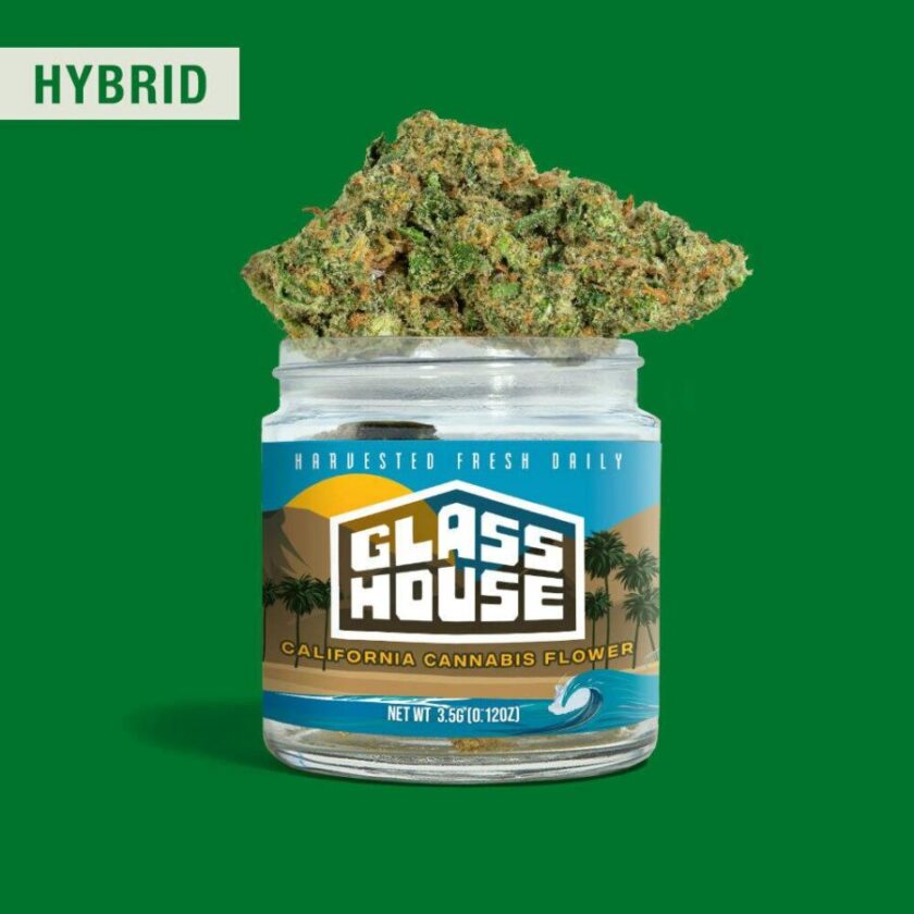 Glass House Flowers - Bolo R*ntz (3.5g Hybrid)