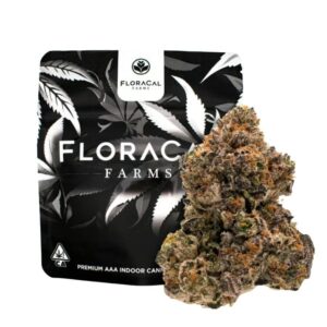 FloraCal Indoor Flowers - Smack Burger (3.5g Hybrid)