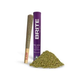 Brite Labs Preroll - Gush Mintz (1g Indica) *NEXT DAY DELIVERY ONLY*